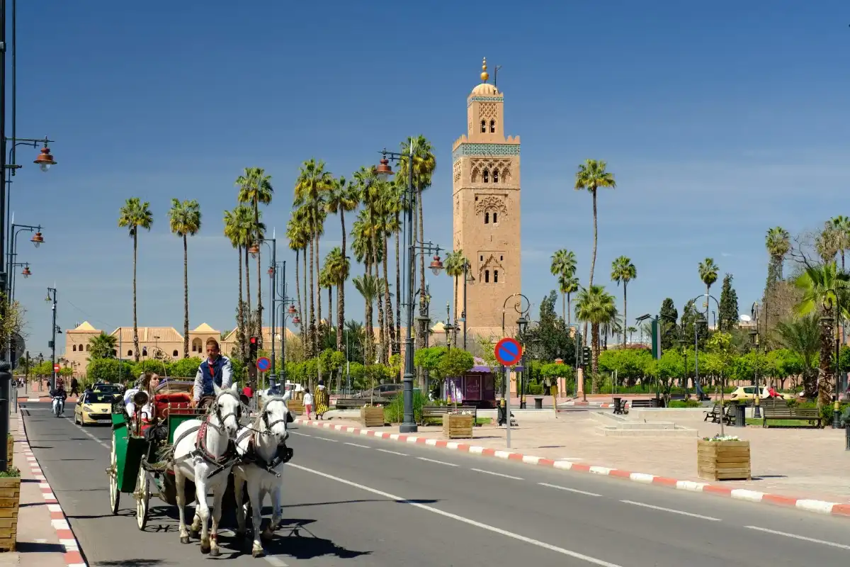 Marrakech & the High Atlas