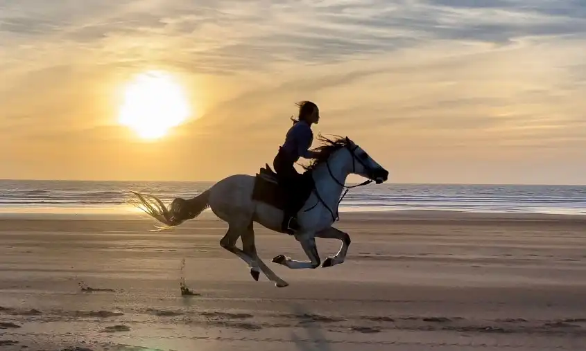 The Atlantic — Essaouira & the coast